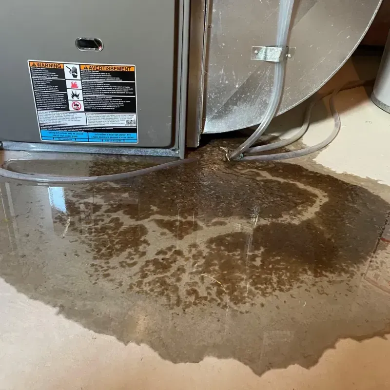 Appliance Leak Cleanup in Weakley County, TN